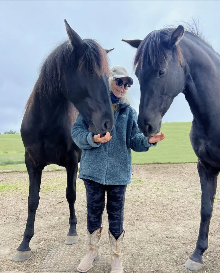 Carolyn Resnick gently interacting with two black horses on a dirt path in Beyond Liberty’s outdoor sanctuary