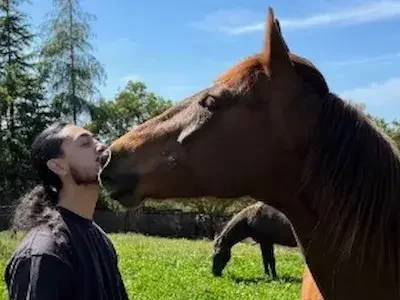 Person sharing a moment of affection with a horse in a sunlit grassy field, symbolizing trust and connection in nature