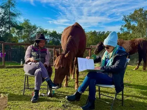 Two individuals seated outdoors with horses during a PMR equine-assisted learning session focused on support, emotions, and clarity.