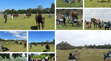 Community Gathering